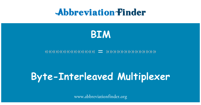 BIM: Byte-Interleaved multiplexor
