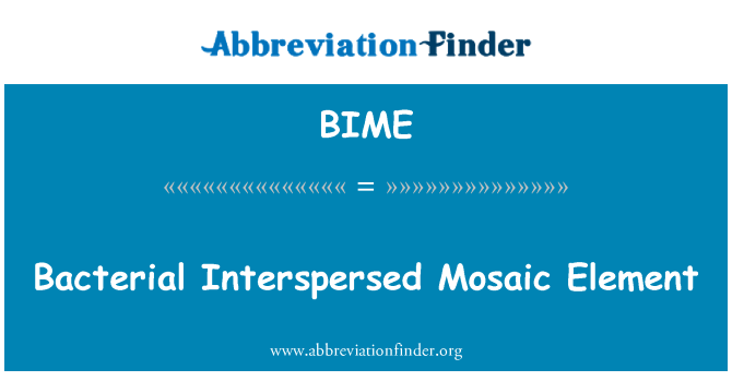 BIME: Bakterja mxerred możajk Element