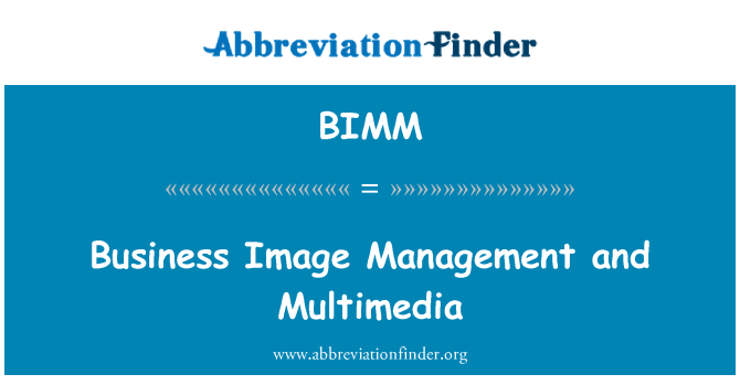 BIMM: Business imagine si Multimedia