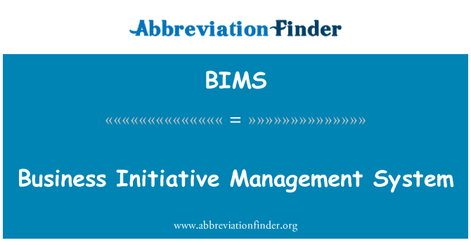BIMS: Sistèm inisyativ administrasyon biznis