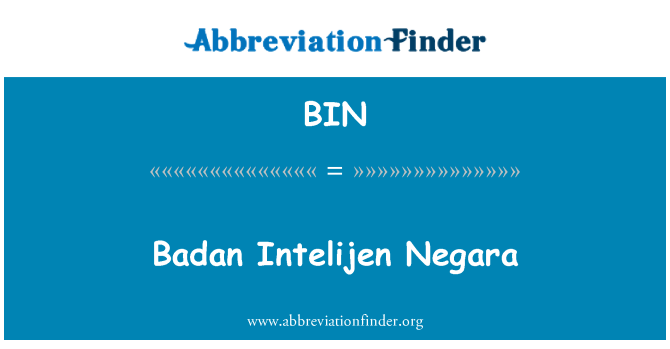 BIN: Badan Intelijen 네가 라