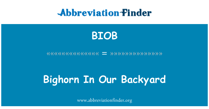 BIOB: Bighorn ở sân sau của chúng tôi