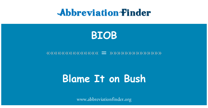 BIOB: ブッシュ大統領のせい