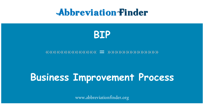 BIP: Processo di miglioramento aziendale