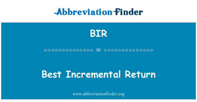 BIR: 最佳增量投資回報