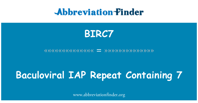 BIRC7: Baculoviral IAP Repeat indeholdende 7