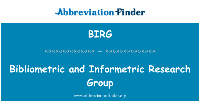BIRG: Bibliometric ve Informetric araştırma grubu