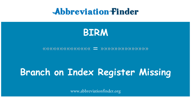 BIRM: Pobočka na indexu registru chybí