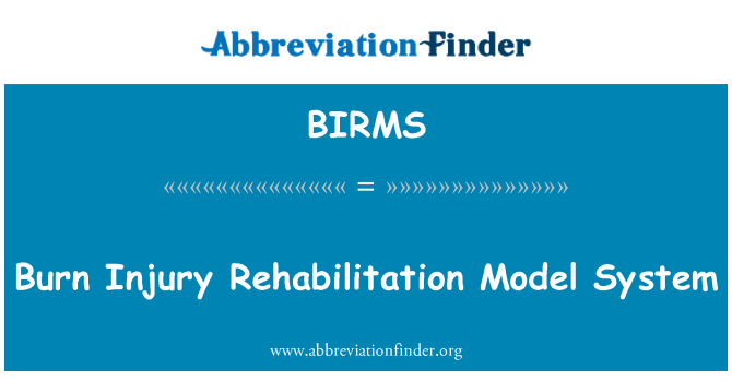 BIRMS: Arde leziuni reabilitarea Model sistem