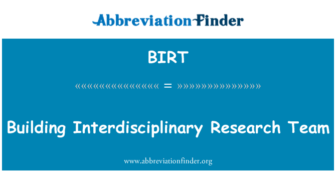 BIRT: צוות מחקר בין-תחומי הבניין