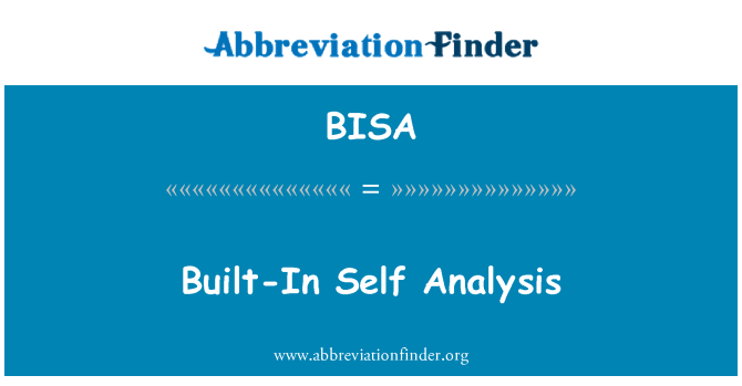 BISA: 内置的自我分析