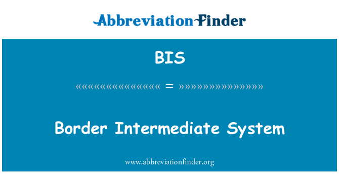 BIS: Border Intermediate System