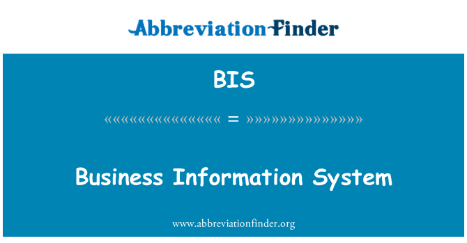 BIS: Verslo informacinės sistemos