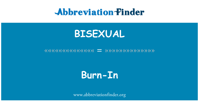BISEXUAL: バーンイン
