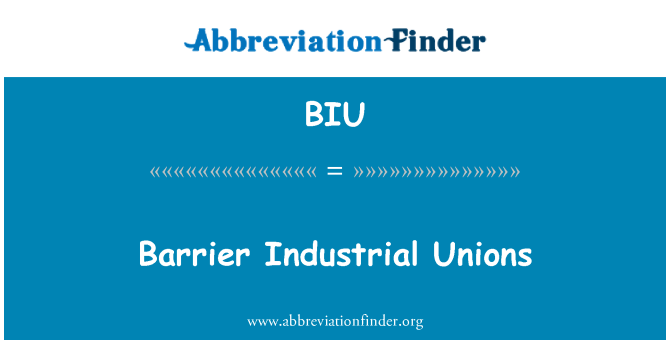 BIU: Bariera industriale sindicate