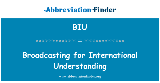 BIU: Műsorszolgáltató a nemzetközi megértés