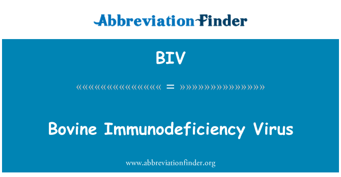 BIV: ويروس نقص ايمني گاو