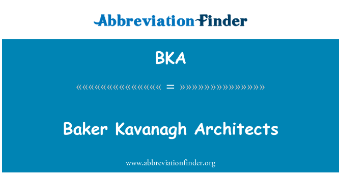 BKA: Baker Kavanagh Architekci