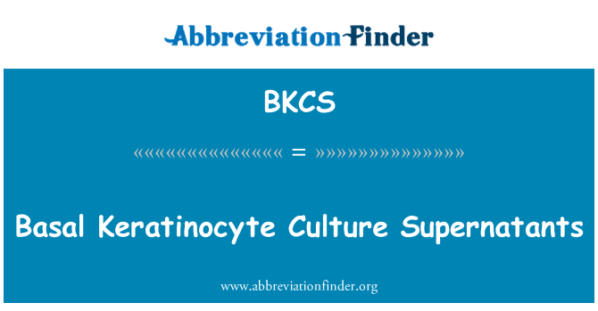 BKCS: Kultura Keratinocyte bażali supernatanti