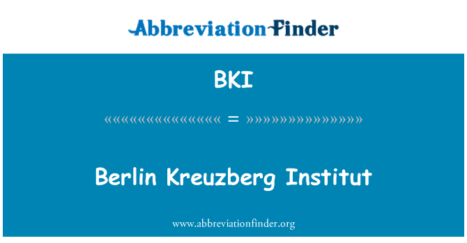 BKI: Berlijn Kreuzberg Institut