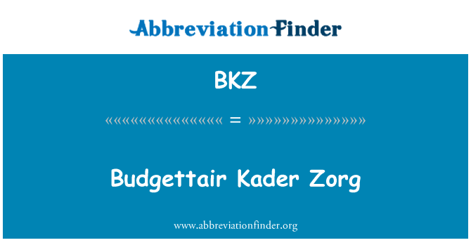 BKZ: Budgettair kis Zorg