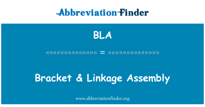 BLA: Bracket & Linkage Assembly