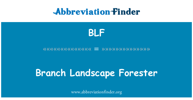 BLF: สาขาภูมิทัศน์ Forester