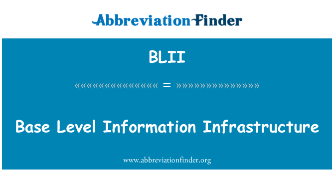 BLII: ระดับฐานข้อมูลโครงสร้างพื้นฐาน