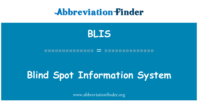 BLIS: Blind Spot Information System