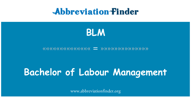 BLM: Bachelor of Labour Management