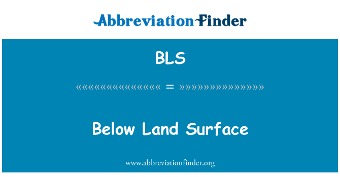 BLS: Below Land Surface