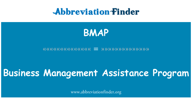 BMAP: ビジネス経営支援プログラム
