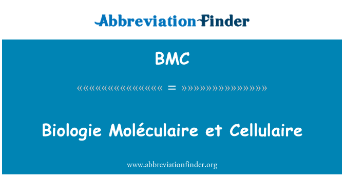 BMC: Biologie MolÃ © culaire et Cellulaire