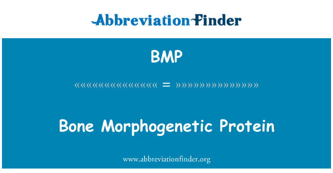 BMP: Proteina morfogenetica dell'osso