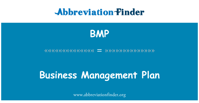 BMP: Business Management Plan