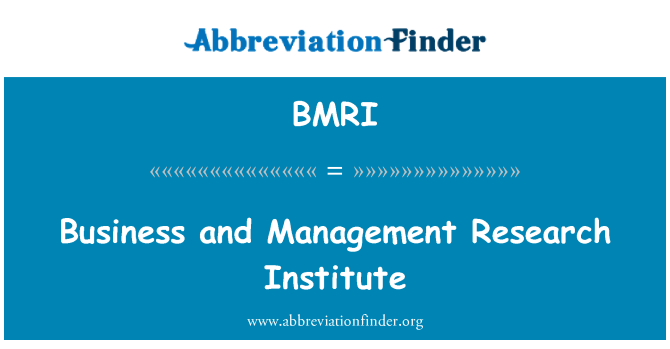 BMRI: Business und Management Research Institute