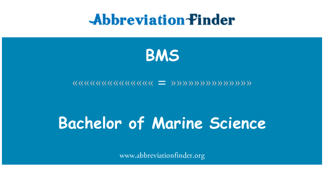 BMS: Bachelor of Marine Science