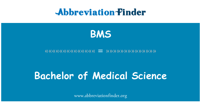 BMS: 醫療科學學士