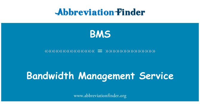 BMS: Bandwidth Management Service