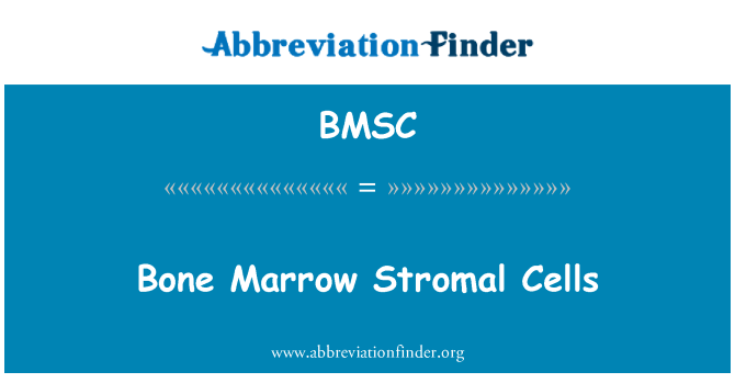 BMSC: Cellules Stromal mwèl zo
