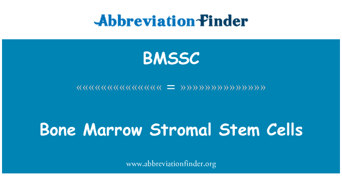 BMSSC: Mudullun Stromal ċelloli staminali