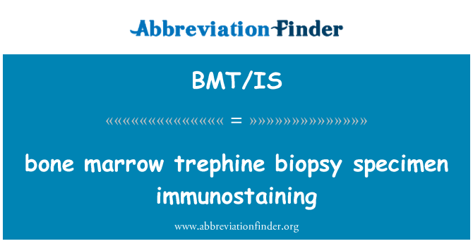 BMT/IS: medula óssea trefina biópsia espécime imunocoloração