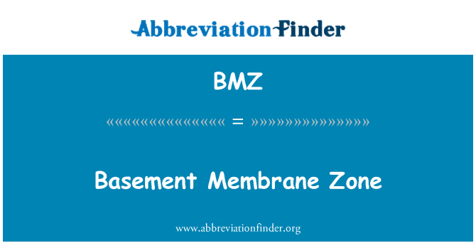 BMZ: Zona de la membrana del sótano