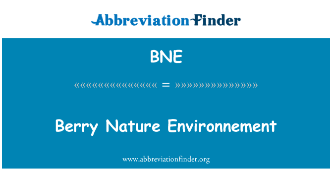 BNE: Berry Nature Environnement
