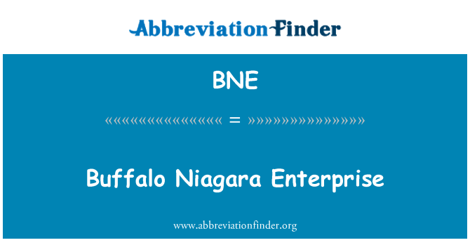 BNE: Buffalo Niagara Enterprise