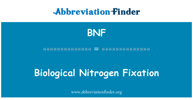 BNF: Biologická fixace dusíku