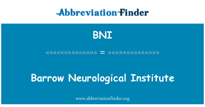 BNI: בארו נוירולוגיות מכון