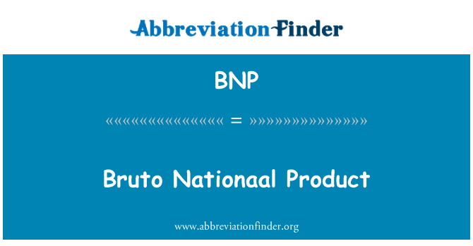 BNP: Bruto Nationaal Product