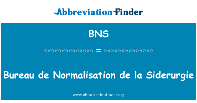 BNS: Bureau de Normalisation De La Siderurgie