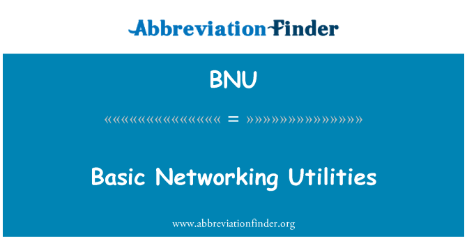 BNU: Basic Networking Utilities